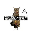 Himoneko3（個別スタンプ：14）