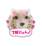 良かったらどうぞです。（個別スタンプ：2）