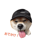 柴犬リクの日常。Part2（個別スタンプ：23）