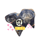 あられとぶる太5 パグ（個別スタンプ：7）