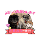 あられとぶる太5 パグ（個別スタンプ：23）