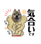デカ文字②！おバカポメラニアンと黒猫（個別スタンプ：28）