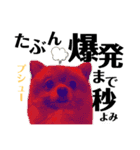デカ文字②！おバカポメラニアンと黒猫（個別スタンプ：33）