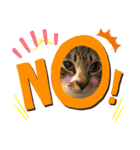 猫さんLove（個別スタンプ：3）