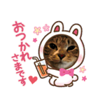 猫さんLove（個別スタンプ：11）