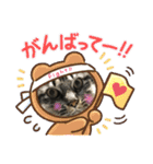 猫さんLove（個別スタンプ：12）