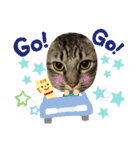 猫さんLove（個別スタンプ：20）
