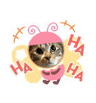 猫さんLove（個別スタンプ：21）