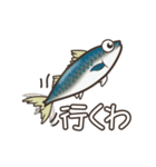イカ釣りに行こうぜ！関西弁（個別スタンプ：5）