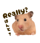 ハムスターのとにちゃん（個別スタンプ：3）