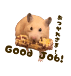 ハムスターのとにちゃん（個別スタンプ：6）