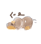 ダックス  カニンヘンダックス COCO（個別スタンプ：25）