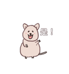 垂眼QUOKKA(繁体字)（個別スタンプ：13）