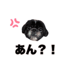 ゴルチキスタンプ①（個別スタンプ：22）