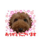 さとうきなこスタンプ（個別スタンプ：3）