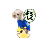 ちょび散歩3（個別スタンプ：4）
