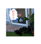 トニャンプ2（個別スタンプ：2）