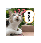 トニャンプ2（個別スタンプ：6）