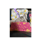 トニャンプ2（個別スタンプ：7）