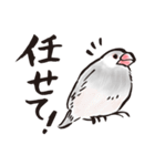 でかもじ筆文鳥（個別スタンプ：5）