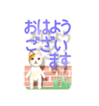 浮き出る 猫とデカ文字【ポップアップ】（個別スタンプ：2）