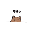 メタボシバイヌのポチャ（個別スタンプ：9）