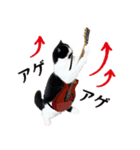 猫のハムスケ__Vo.3（個別スタンプ：2）