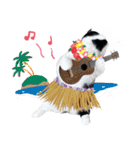 猫のハムスケ__Vo.3（個別スタンプ：3）