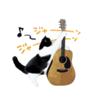 猫のハムスケ__Vo.3（個別スタンプ：4）
