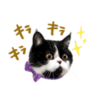 猫のハムスケ__Vo.3（個別スタンプ：18）