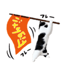 猫のハムスケ__Vo.3（個別スタンプ：21）