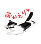 猫のハムスケ__Vo.3（個別スタンプ：23）