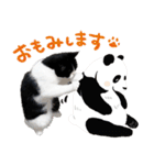 猫のハムスケ__Vo.3（個別スタンプ：24）