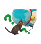 Cat stamp cute animal（個別スタンプ：11）
