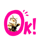 Cat stamp cute animal（個別スタンプ：18）