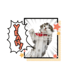 cat もふもふ（個別スタンプ：3）