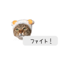 こむぎのふきだし（個別スタンプ：21）