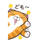 ランラン猫 21 (日本語)（個別スタンプ：1）