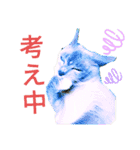 ラブリーにゃんず（個別スタンプ：2）