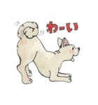 犬のおともだち（個別スタンプ：33）