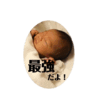 y.h.yスタンプ③（個別スタンプ：16）