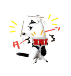 猫のハムスケ__Vo.4（個別スタンプ：5）