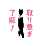 猫のハムスケ__Vo.4（個別スタンプ：25）
