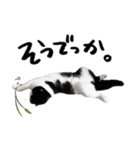 猫のハムスケ__Vo.4（個別スタンプ：27）