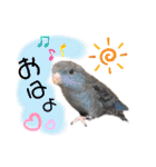 ザ・ピートルズ⓪（個別スタンプ：1）