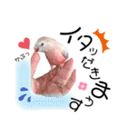 ザ・ピートルズ⓪（個別スタンプ：3）