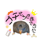 ザ・ピートルズ⓪（個別スタンプ：4）