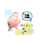 ザ・ピートルズ⓪（個別スタンプ：5）