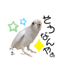 ザ・ピートルズ⓪（個別スタンプ：10）