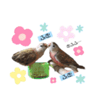 ザ・ピートルズ⓪（個別スタンプ：14）
